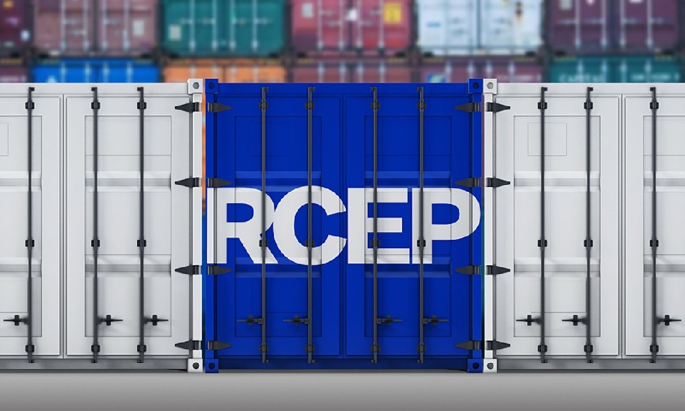 RCEP Photo:VCG