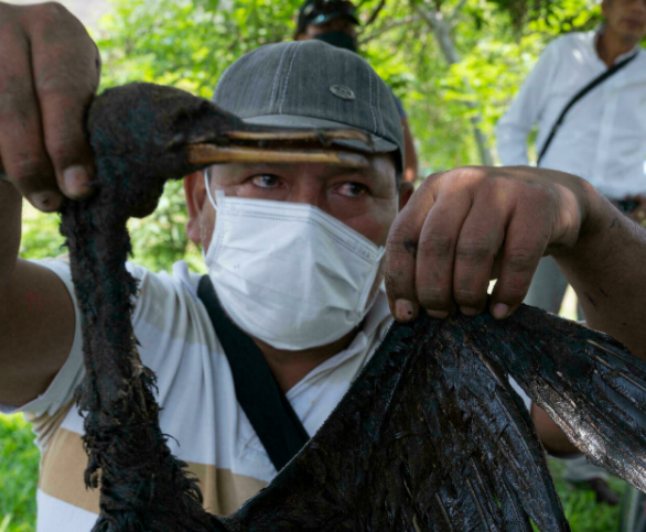 1642689060118678.png image.png